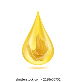 Edible Nest Swiftlet, Bird's nest in golden water drop. Isolated on white background. Premium grade health food supplement. From the saliva of a bird backed. 3D Realistic vector Eps10.