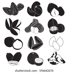 Edible Nuts Collection