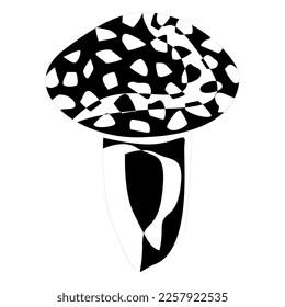 Edible Organic mushrooms. Truffle brown cap. Forest wild mushrooms types. Colorful vector illustration isolated on white background.