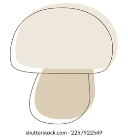 Edible Organic mushrooms. Truffle brown cap. Forest wild mushrooms types. Colorful vector illustration isolated on white background.