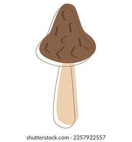 Edible Organic mushrooms. Truffle brown cap. Forest wild mushrooms types. Colorful vector illustration isolated on white background.