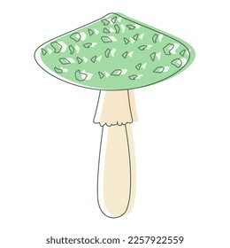 Edible Organic mushrooms. Truffle brown cap. Forest wild mushrooms types. Colorful vector illustration isolated on white background.