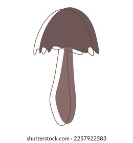 Edible Organic mushrooms. Truffle brown cap. Forest wild mushrooms types. Colorful vector illustration isolated on white background.