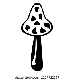 Edible Organic mushrooms. Truffle brown cap. Forest wild mushrooms types. Colorful vector illustration isolated on white background.