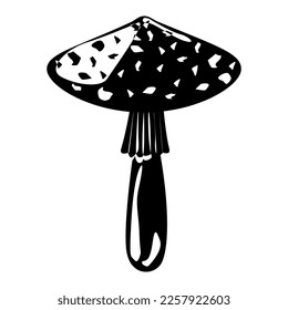Edible Organic mushrooms. Truffle brown cap. Forest wild mushrooms types. Colorful vector illustration isolated on white background.