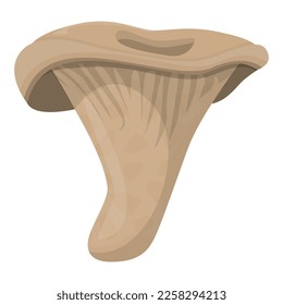 Edible Organic mushrooms. Truffle. Forest wild mushrooms types. Colorful vector illustration isolated on white background.