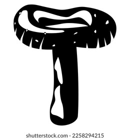Edible Organic mushrooms. Truffle. Forest wild mushrooms types. Colorful vector illustration isolated on white background.