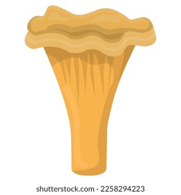 Edible Organic mushrooms. Truffle. Forest wild mushrooms types. Colorful vector illustration isolated on white background.