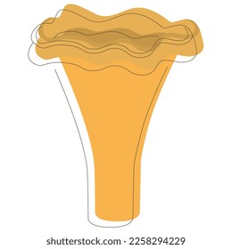 Edible Organic mushrooms. Truffle. Forest wild mushrooms types. Colorful vector illustration isolated on white background.