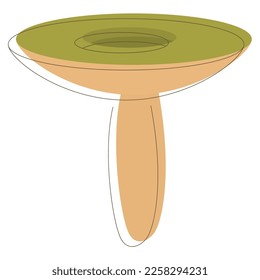 Edible Organic mushrooms. Truffle. Forest wild mushrooms types. Colorful vector illustration isolated on white background.