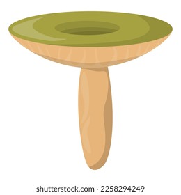 Edible Organic mushrooms. Truffle. Forest wild mushrooms types. Colorful vector illustration isolated on white background.