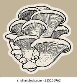 edible oyster mushrooms (Pleurotus ostreatus) cartoon vector.