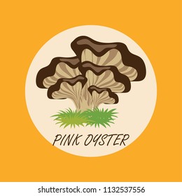 edible pink oyster  mushrooms banner. vector illustration 