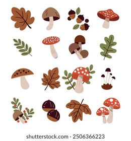 Edible and poisonous forest mushrooms. Woodland fungus with leaves. Oak acorn, fly agaric or amanita muscaria, set of botanical elements. Hand drawn vector illustration collection isolated on white. 