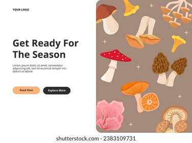 Edible and poisonous mushrooms. Mushroom season in a forest. Vector cartoon illustration for landing page, and web page banner.