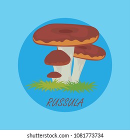 edible russula mushrooms banner. vector illustration 