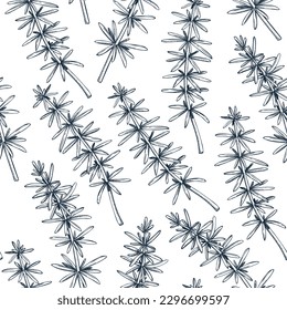 Edible seaweed background in sketch style. Vector food illustration. Hijiki drawings. Underwater plants seamless pattern for textile, packaging, wrapping paper or prints.