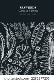 Edible seaweed design on chalkboard. Hand-drawn kelp, kombu, wakame, hijiki, and Irish moss illustration. Underwater plants and algae vector frame. Healthy food ingredients. Asian cuisine tempalte 