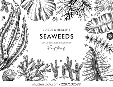 Edible seaweed frame design in sketch style. Hand-drawn sea vegetables - kelp, wakame, hijiki, kombu, nori vector drawings. Healthy food ingredients background. Botanical illustration