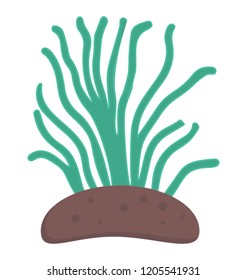 
Edible seaweed green algae
