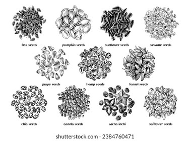edible seeds hand drawn collection