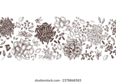 Edible seeds hand drawn seamless border