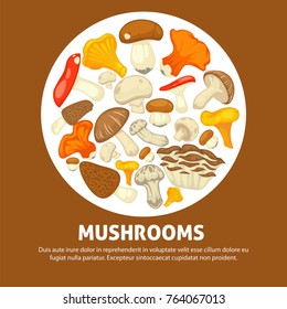 Edible species of mushrooms in messy heap inside circle