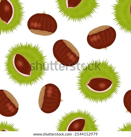 Edible sweet chestnuts background. Seamless pattern with peeled and green-skinned chestnuts with burrs on white. Vector cartoon illustration.