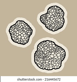  Edible Truffle Mushrooms Cartoon Vector.