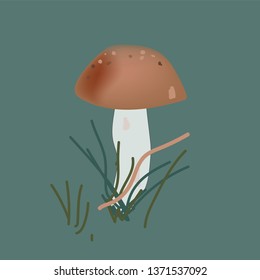 edible white mushroom on the grass