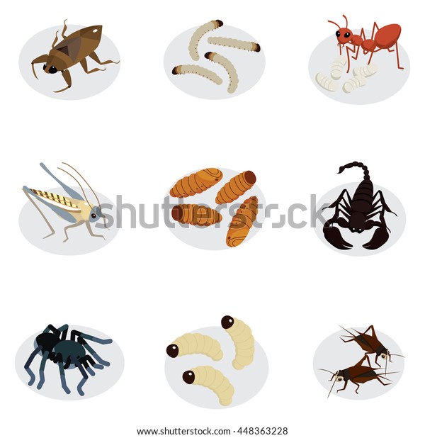 edible worms and\
insects cartoon style\
vector