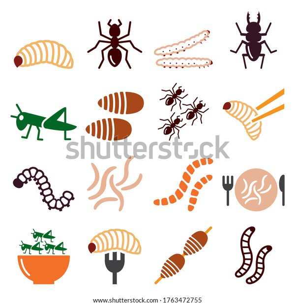 Edible worms and insects vector icons set -\
alternative source on protein in food. Food and nature color icons\
set - maggots, bugs isolated on white\
