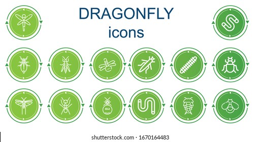 Editable 14 dragonfly icons for web and mobile. Set of dragonfly included icons line Dragonfly, Worm, Leaf insect, Grasshopper, Centipede, Insect, Locust, Ant, Firefly