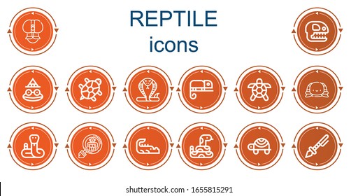 Editable 14 iconos reptiles para web y móvil. Conjunto de reptiles incluidos íconos línea Fakir, Fossil, Toad, Tortuga, Serpiente, Chameleon, Tortuga, Criptozoología, Cocodrilo, Prehistórico