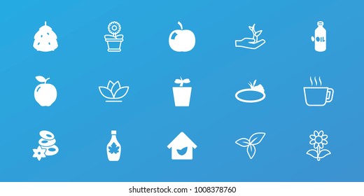 Editable 15 leaf icons: berry, apple, oil, spa stones, maple syrup, plant in pot, pond, eco house, tea, flower pot, flower, leaf