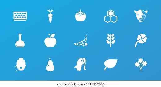 Editable 15 natural icons: pear, goat, leaf, bouquet, pot for plants, carrot, plant, bottle, clover, turkey, apple, honey, honeycomb