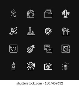 Editable 16 abstract icons for web and mobile. Set of abstract included icons line Owl, Camera, Heart, Water, Processor, Code, Pineapple, Badoo, Wind, Explosion on black background