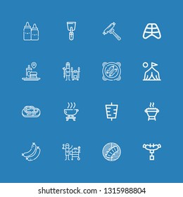 Editable 16 barbecue icons for web and mobile. Set of barbecue included icons line Sausage, Ribs, Grill, Sausages, Kebab, Barbecue, Steak, Camp, Bbq, Tandoor on blue background