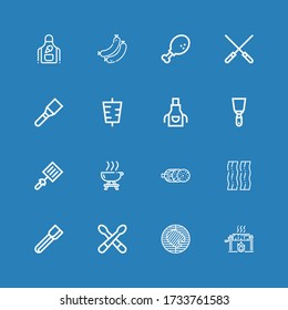 Editable 16 barbecue icons for web and mobile. Set of barbecue included icons line Roast, Barbecue, Drumsticks, Tongs, Bacon, Salami, Spatula, Apron, Kebab on blue background