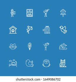 Editable 16 bird icons for web and mobile. Set of bird included icons line Owl, Macaw, Pigeon, Dinosaur, Swan, Dove, Feather, Nest, Bird cage, Stork, Peace on blue background