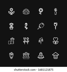 Editable 16 blossom icons for web and mobile. Set of blossom included icons line Chinese, Terrarium, Flowers, Bouquet, Flower, Rose, Lotus on black background