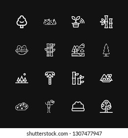 Editable 16 branch icons for web and mobile. Set of branch included icons line Tree, Bush, Dove, Seaweed, Bamboo, Palm tree, Trees, Nest on black background