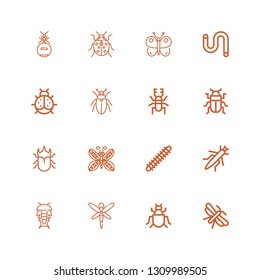 Editable 16 butterfly icons for web and mobile. Set of butterfly included icons line Moth, Insect, Dragonfly, Grasshopper, Centipede, Butterfly, Beetle, Ladybird on white background