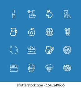 Editable 16 citrus icons for web and mobile. Set of citrus included icons line Lemon, Lemonade, Fruit, Orange, Apricot, Vitamin c, Juice on blue background