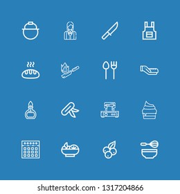 Editable 16 cooking icons for web and mobile. Set of cooking included icons line Whisk, Blueberry, Salad, Mixer, Cupcake, Waffle iron, Knife, Burner, Bread on blue background