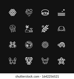 Editable 16 crab icons for web and mobile. Set of crab included icons line Turtle, Crab, Lobster, Sea urchin, Prawn, Shrimp, Sea, Jellyfish, Mussel, Caviar on black background