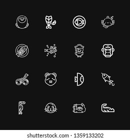 Editable 16 fauna icons for web and mobile. Set of fauna included icons line Crocodile, Fish, Sea lion, Toucan, Polar bear, Bird, Gorilla, Parrot, Macaw on black background