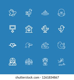 Editable 16 flying icons for web and mobile. Set of flying included icons line Skydiving, Pilot, Superhero, Troglodyte, Pigeon, Swan, Albatross, Cupid, Seagull on blue background