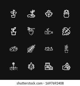 Editable 16 foliage icons for web and mobile. Set of foliage included icons line Leaf, Plant, Bush, Monstera leaf, Acorn on black background