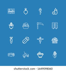 Editable 16 harvest icons for web and mobile. Set of harvest included icons line Corn, Fruit bowl, Hop, Carrots, Barn, Scarecrow, Courgette, Carrot, Scythe on blue background